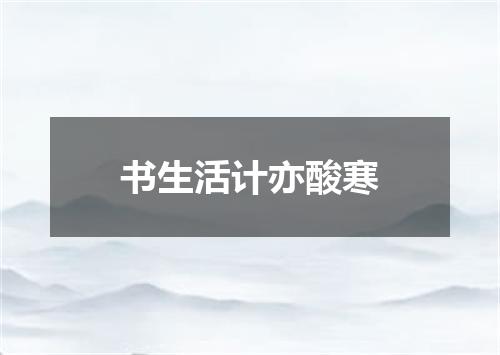 书生活计亦酸寒