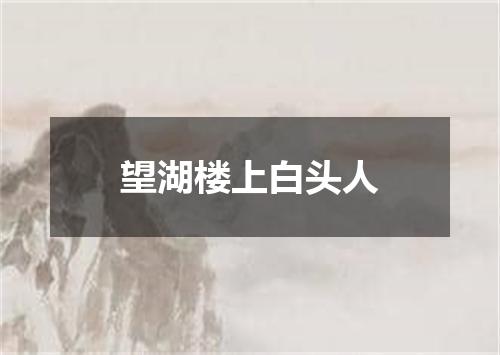 望湖楼上白头人