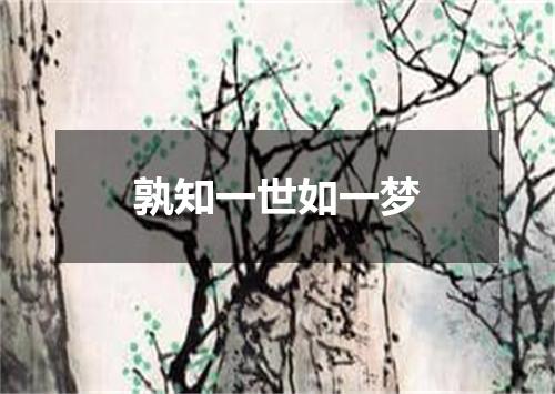 孰知一世如一梦