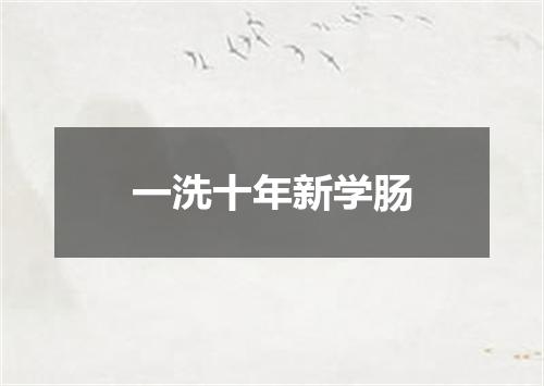 一洗十年新学肠