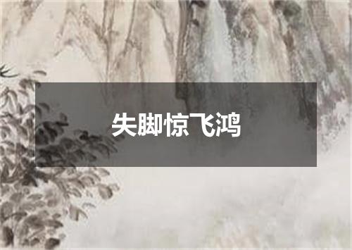 失脚惊飞鸿