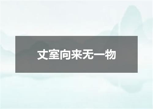 丈室向来无一物