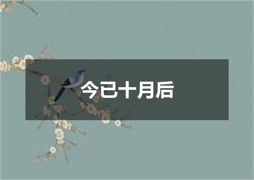 今已十月后