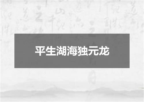 平生湖海独元龙