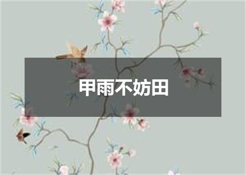 甲雨不妨田