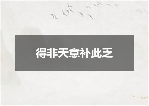 得非天意补此乏