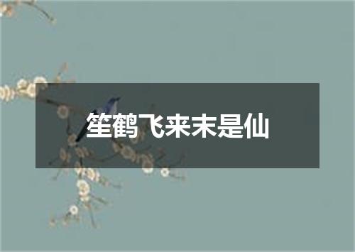 笙鹤飞来末是仙