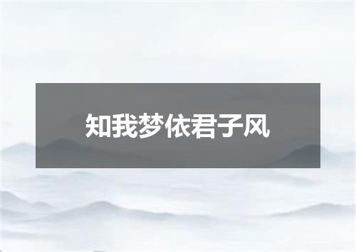 知我梦依君子风