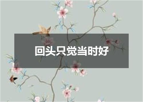 回头只觉当时好