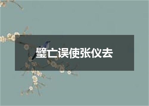 璧亡误使张仪去