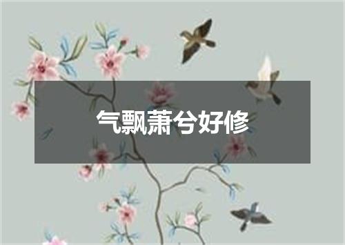 气飘萧兮好修