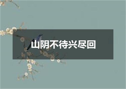 山阴不待兴尽回