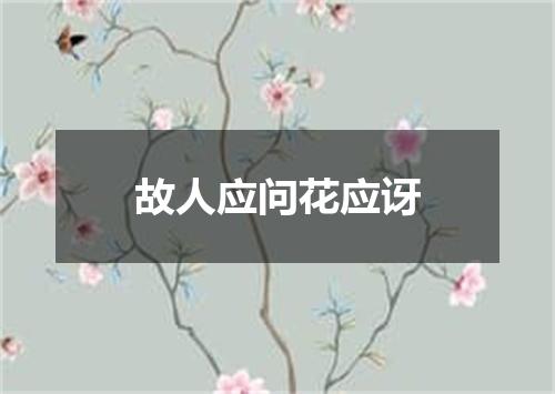 故人应问花应讶