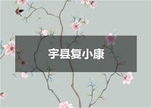 宇县复小康