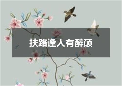 扶路逢人有醉颠