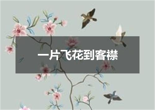一片飞花到客襟