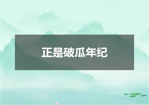 正是破瓜年纪