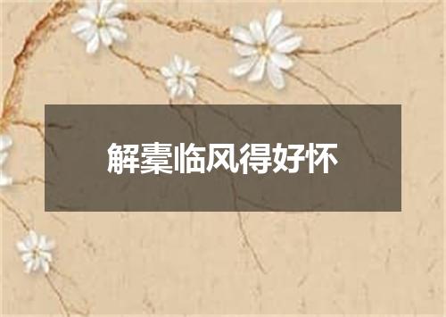解橐临风得好怀