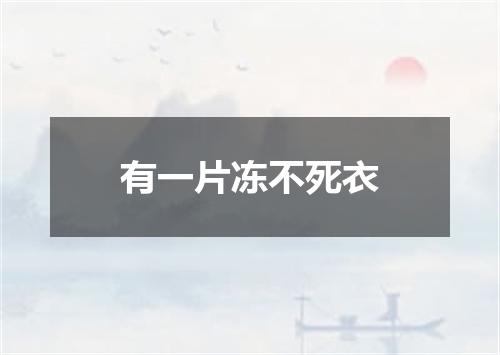 有一片冻不死衣