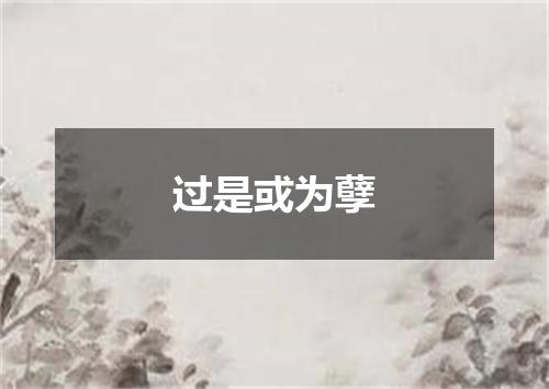 过是或为孽
