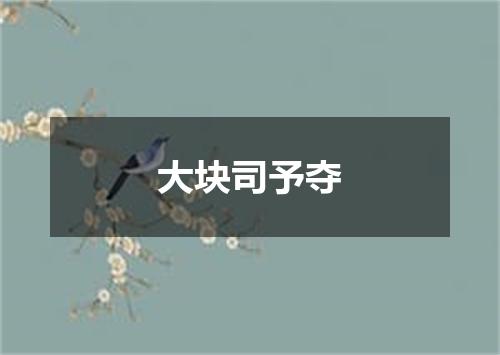 大块司予夺
