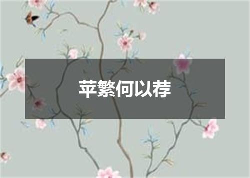 苹繁何以荐