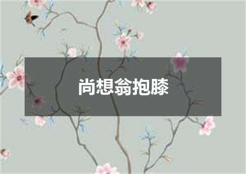 尚想翁抱膝