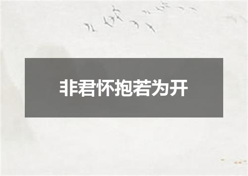 非君怀抱若为开