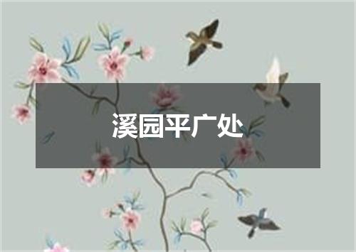 溪园平广处