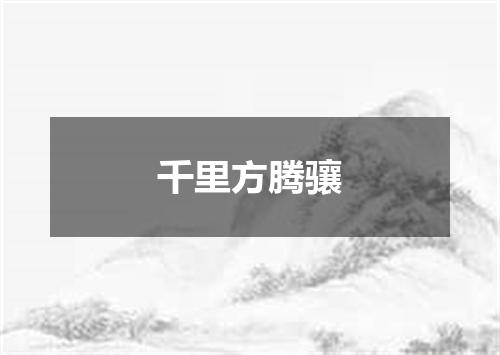 千里方腾骧