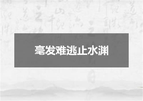 毫发难逃止水渊