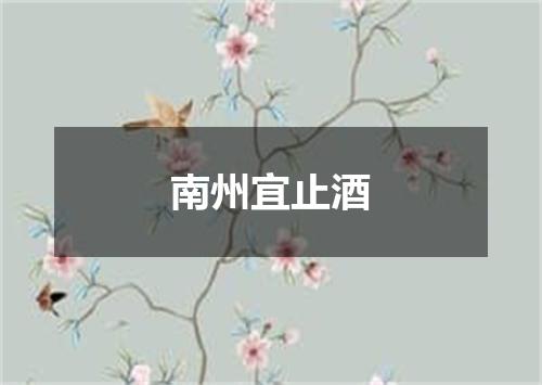 南州宜止酒