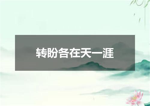 转盼各在天一涯