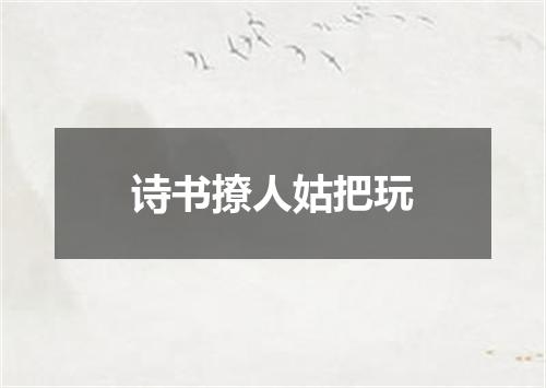 诗书撩人姑把玩