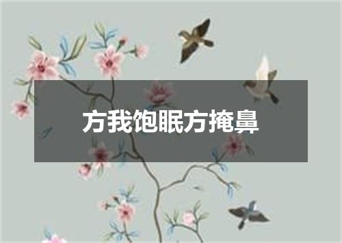 方我饱眠方掩鼻