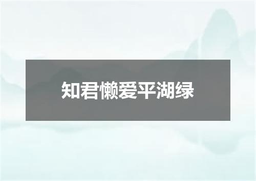 知君懒爱平湖绿