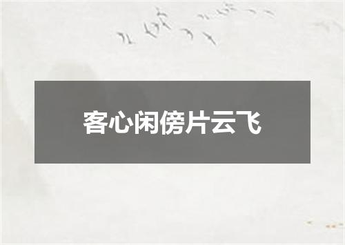 客心闲傍片云飞