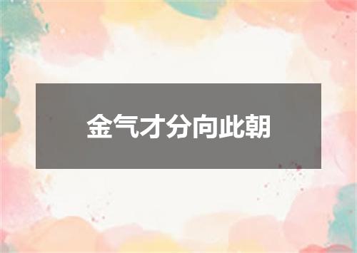 金气才分向此朝