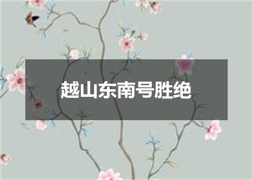 越山东南号胜绝