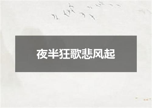 夜半狂歌悲风起