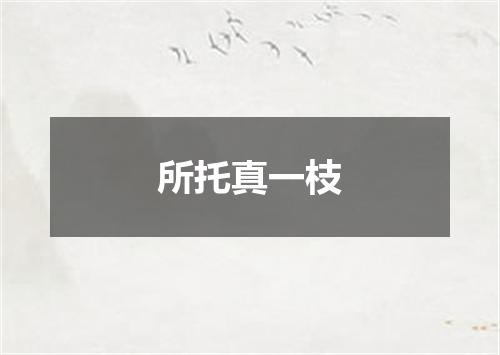 所托真一枝