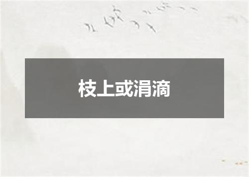 枝上或涓滴