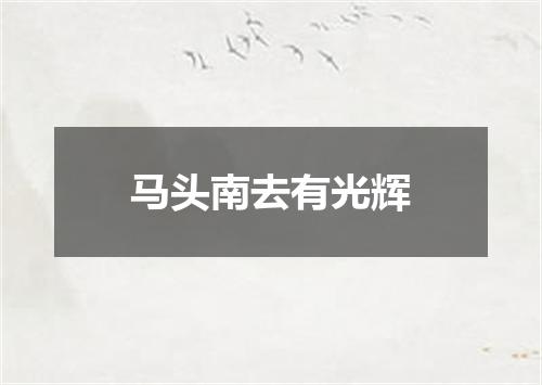 马头南去有光辉