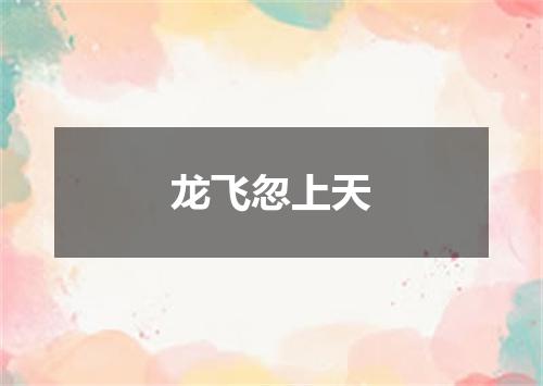 龙飞忽上天