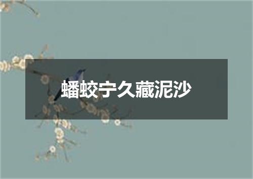 蟠蛟宁久藏泥沙