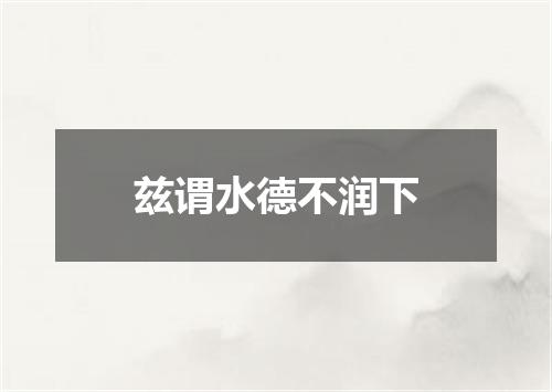 兹谓水德不润下