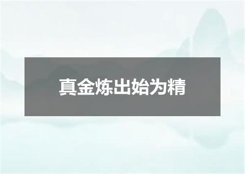 真金炼出始为精