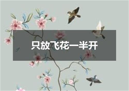 只放飞花一半开