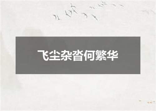 飞尘杂沓何繁华