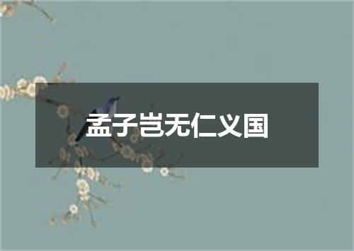 孟子岂无仁义国